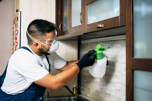 Best Mosquito Control Services  in Brooklyn, OH