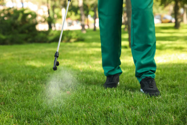 Best Local Pest Control Services  in Brooklyn, OH