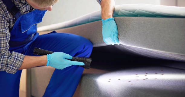 Professional Pest Control in Brooklyn, OH