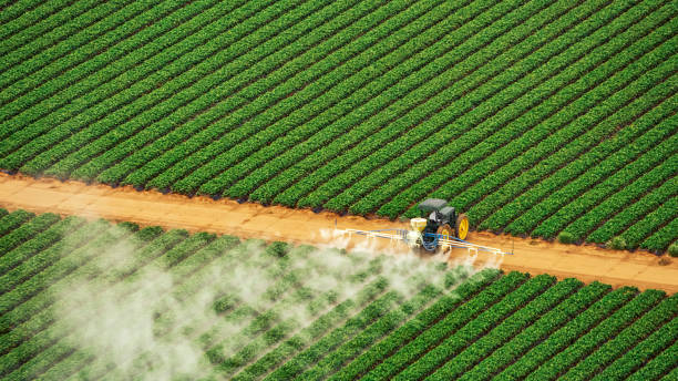 Best Affordable Exterminators  in Brooklyn, OH