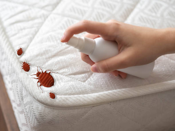 Best Best Pest Control Companies  in Brooklyn, OH
