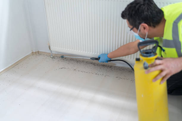 Best Exterminator Services  in Brooklyn, OH